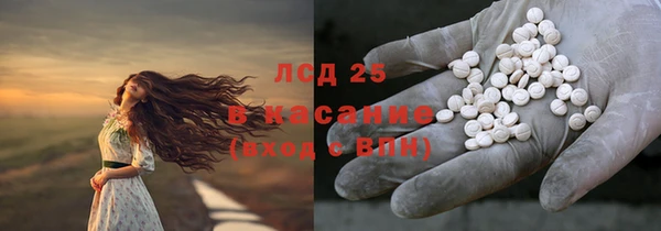 шишки Козельск