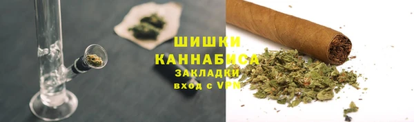 шишки Козельск