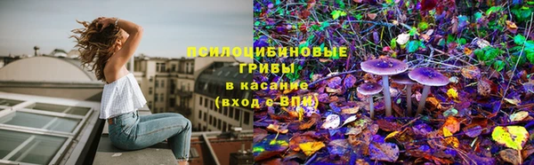 шишки Козельск