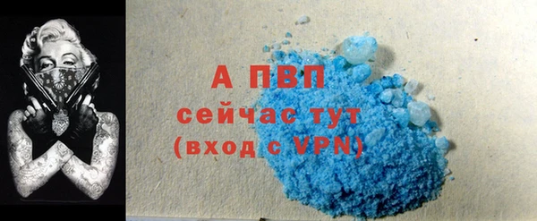 шишки Козельск