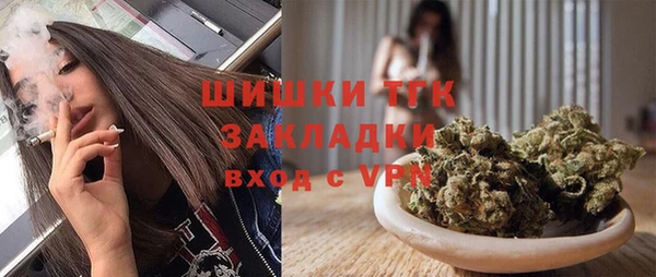 шишки Козельск