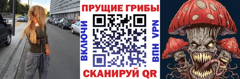 Псилоцибиновые грибы Psilocybine cubensis  Купить  Звенигород 