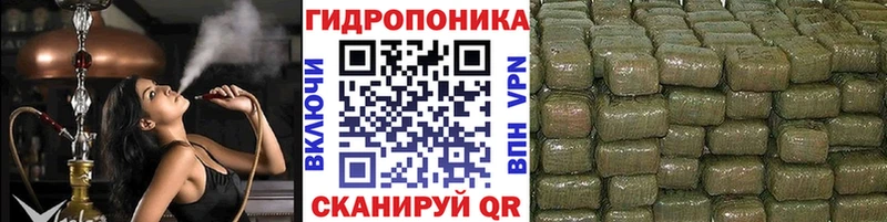 Купить где  Звенигород  Канабис конопля 